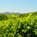 Picture of Italy