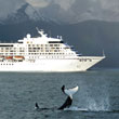 Alaska Adventures Cruise