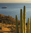Baja Peninsula & the Sea of Cortez