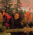 Canada & New England