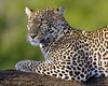 Around Africa by Private Jet