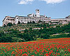 Cortona: Alumni Campus Abroad
