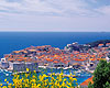 Pearls of Dalmatia