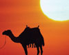 Egypt & the Eternal Nile