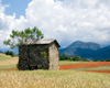 Flavors of Provence