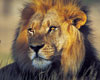 Treasures of Southern Africa