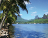 Tahitian Jewels