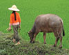 Journey through Vietnam
