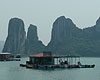 Journey Through Vietnam