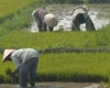 Journey Through Vietnam