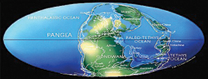 Pangea Strip