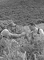 Bennett and Pietsch in
field