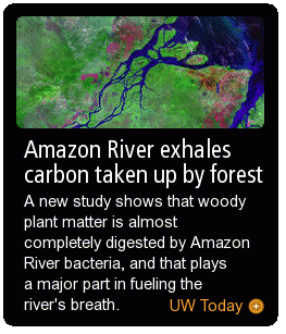 Amazon River exhales carbon taken up by forest