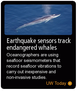 Earthquake sensors track endangered whales
