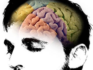 brain320