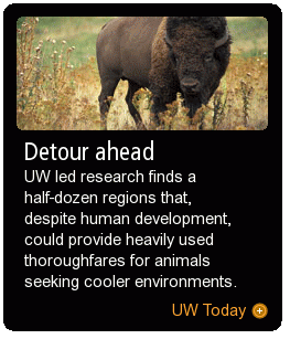 Detour ahead
