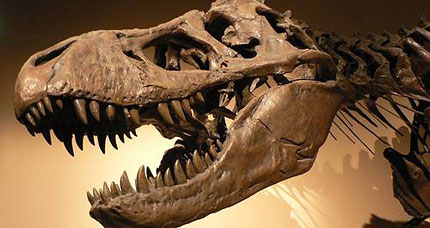 Burke Museum Dino Day