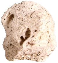 pumice-image.jpg (10103 bytes)