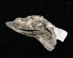 shale-image.jpg (3621 bytes)