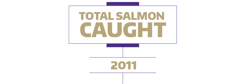 Total salmon caught in 2015