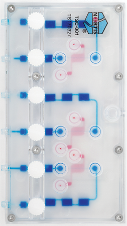 Photograph of the Kidney on a Chip