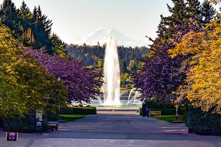 Rainier in the background of a water fountain