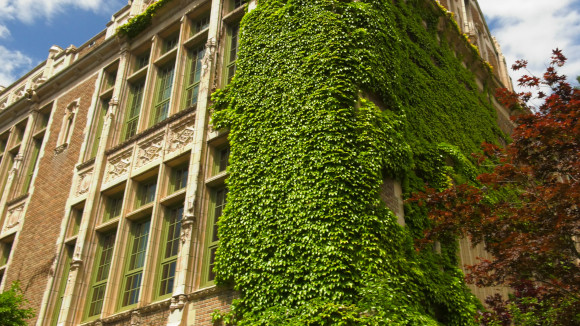 An old brick building is covered in ivy