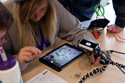 A girl looks at a tablet.