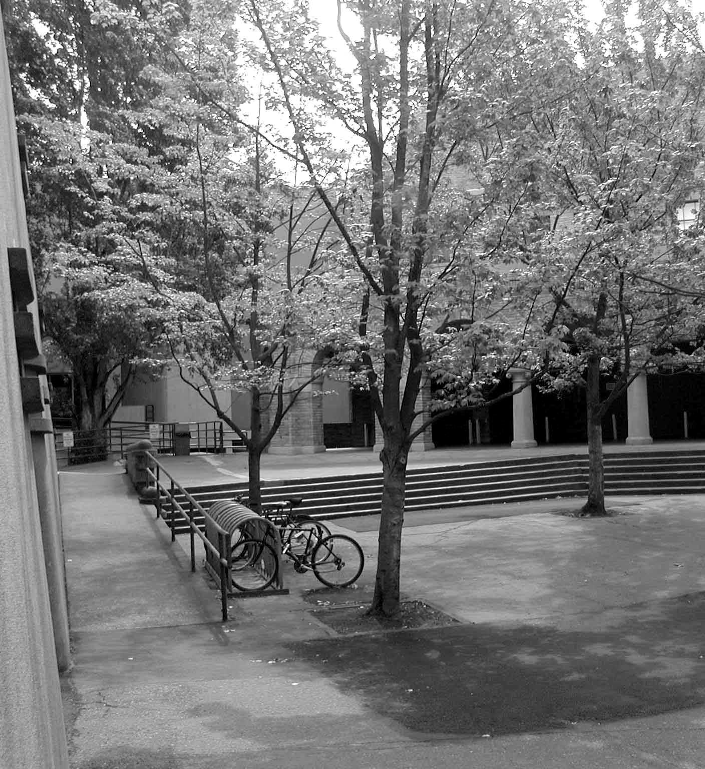Entrance from bridge