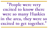 People were very excited to know there were so many Huskies in the area, they were so excited to get together.