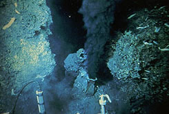 Heated, mineral-rich fluid wells up from chimney-like structure on ocean floor in this image taken from the Alvin submersible vehicle. Project Neptune photo.