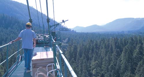 A worker inspects the crane's counterweight jib as haze rises from the forest.