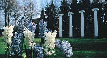 UW's four columns. Photo by Mary Levin