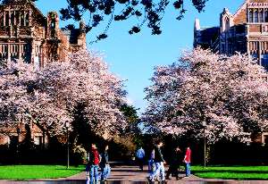 The 'Quad' on UW Seattle campus