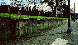 UW's 15th Ave N.E. concrete wall