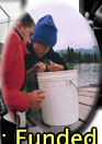 Field Biology Course in Alaska