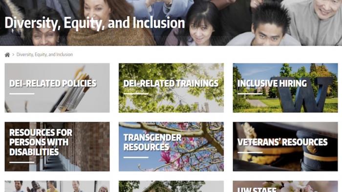 Still showing the Diversity, Equity, and Inclusion website