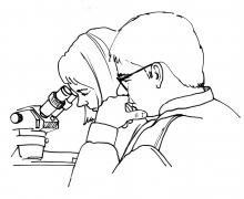 Students using a microscope.