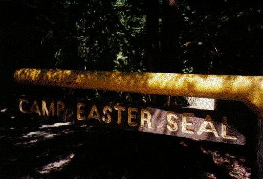 Picture of Easter Seals Camp sign