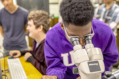 A student looks into a microscope. A student looks into a microscope.