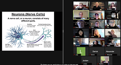A screenshot from an NNL summer session. A screenshot from an NNL summer session.