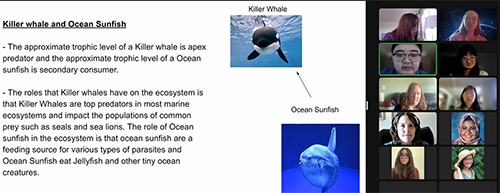 Students present about their oceanography workshops over Zoom.