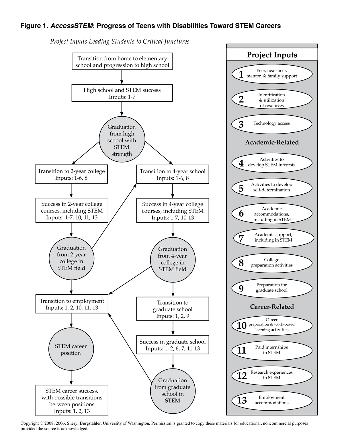 Flowchart showing project inputs leading to critical junctures