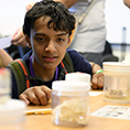 A student looks at brains in a jar.
