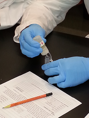 A student drops a chemical solution into a tiny beaker. A student drops a chemical solution into a tiny beaker.