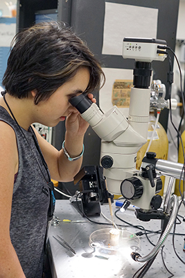 Phase 2 Scholar Naomi looks at a cockroach leg under a microscope during Summer Study 2017.