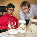 An educator shows a student some neurobiology materials.