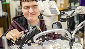 A student in a wheelchair uses a microscope.