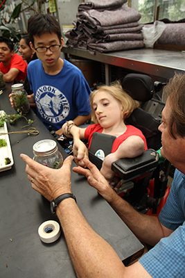 Two participants examine plant specimens in a glass jar with aid from a mentor.