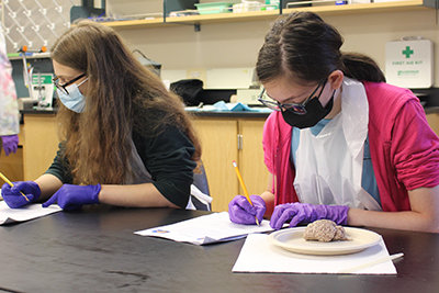 NNL students work in a lab.